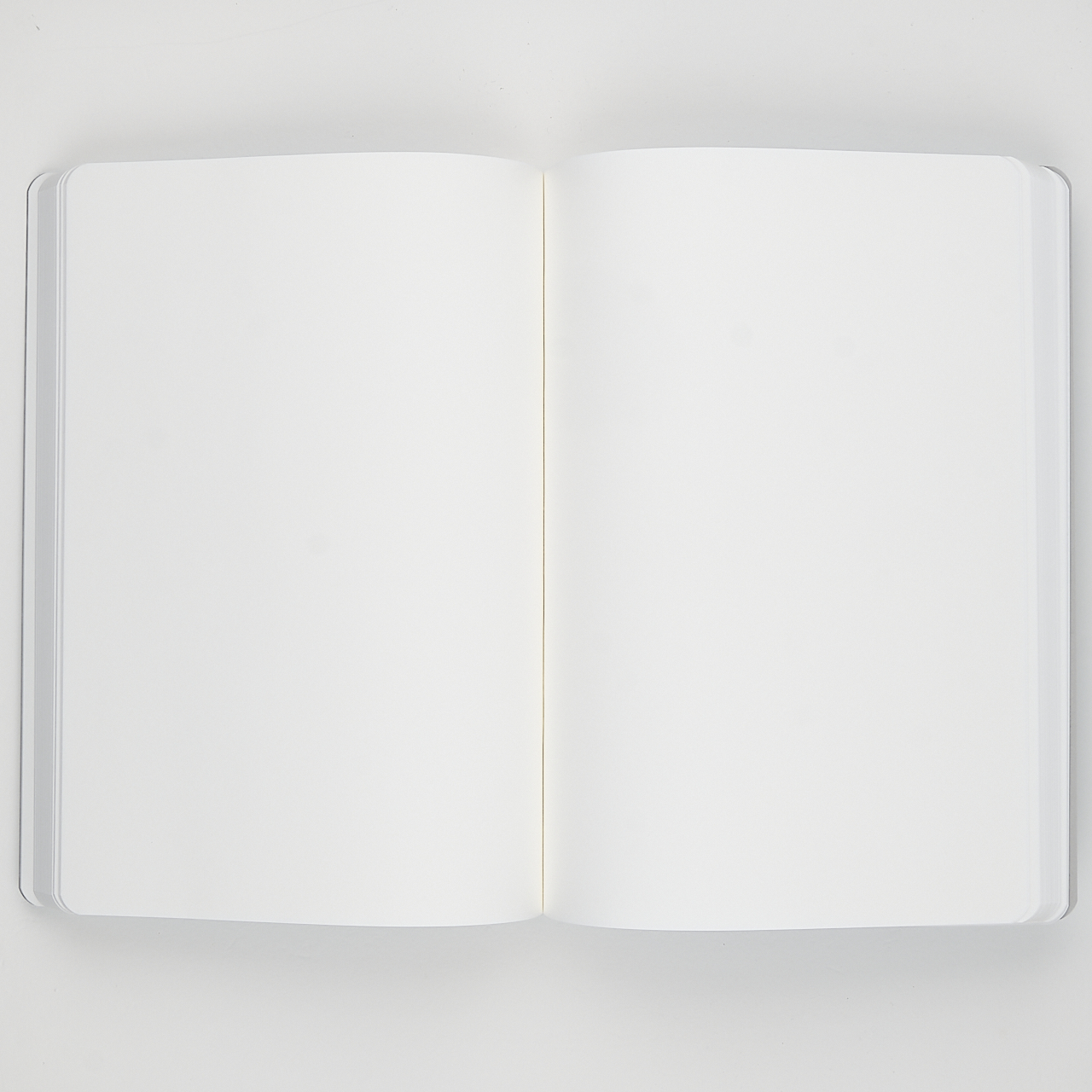 Stalogy Notebook 018 Editor's Series 365 Days blank light blue (A5)