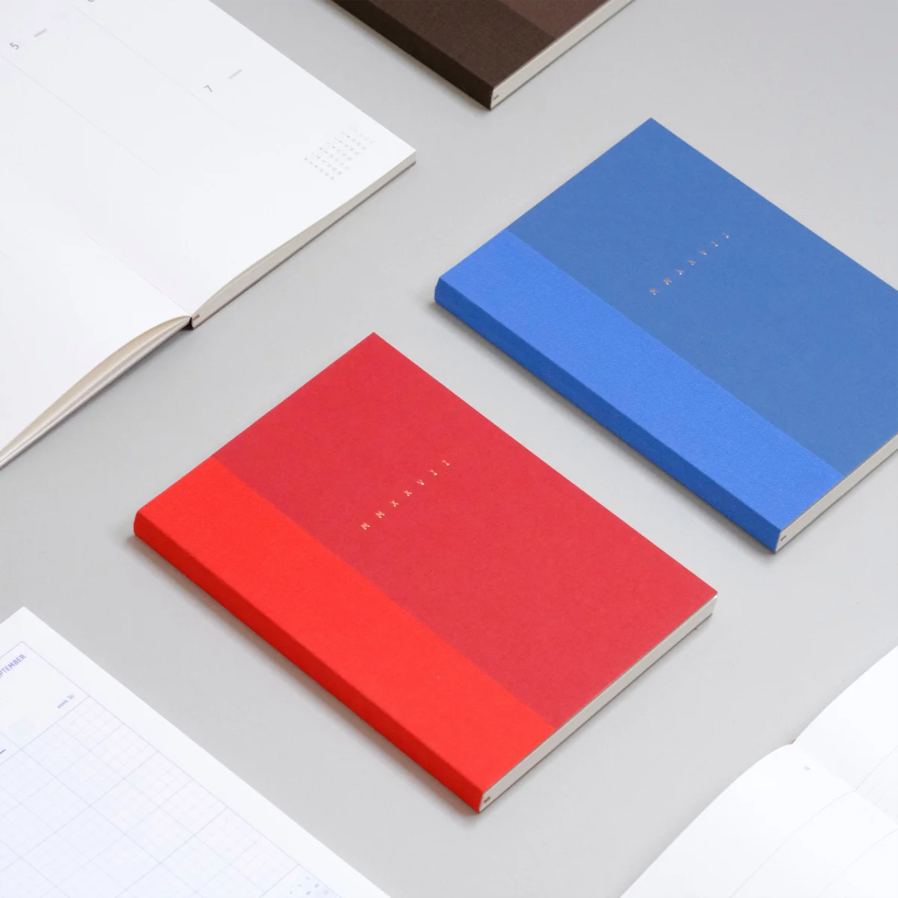 Papierniczeni Planner 2027 Klasyk ski