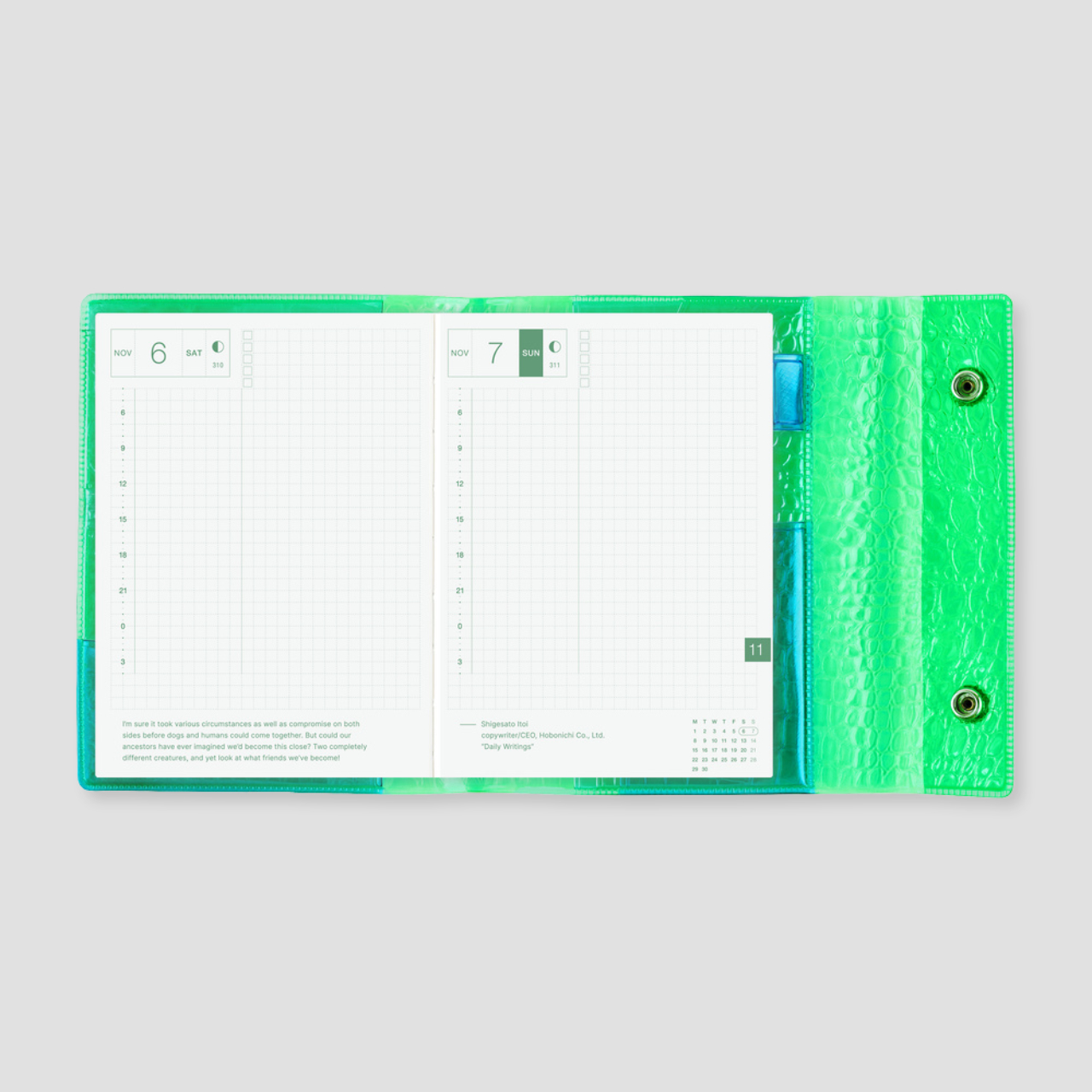Hobonichi Cover beautiful people: Nothing to Hide - Green (A6)