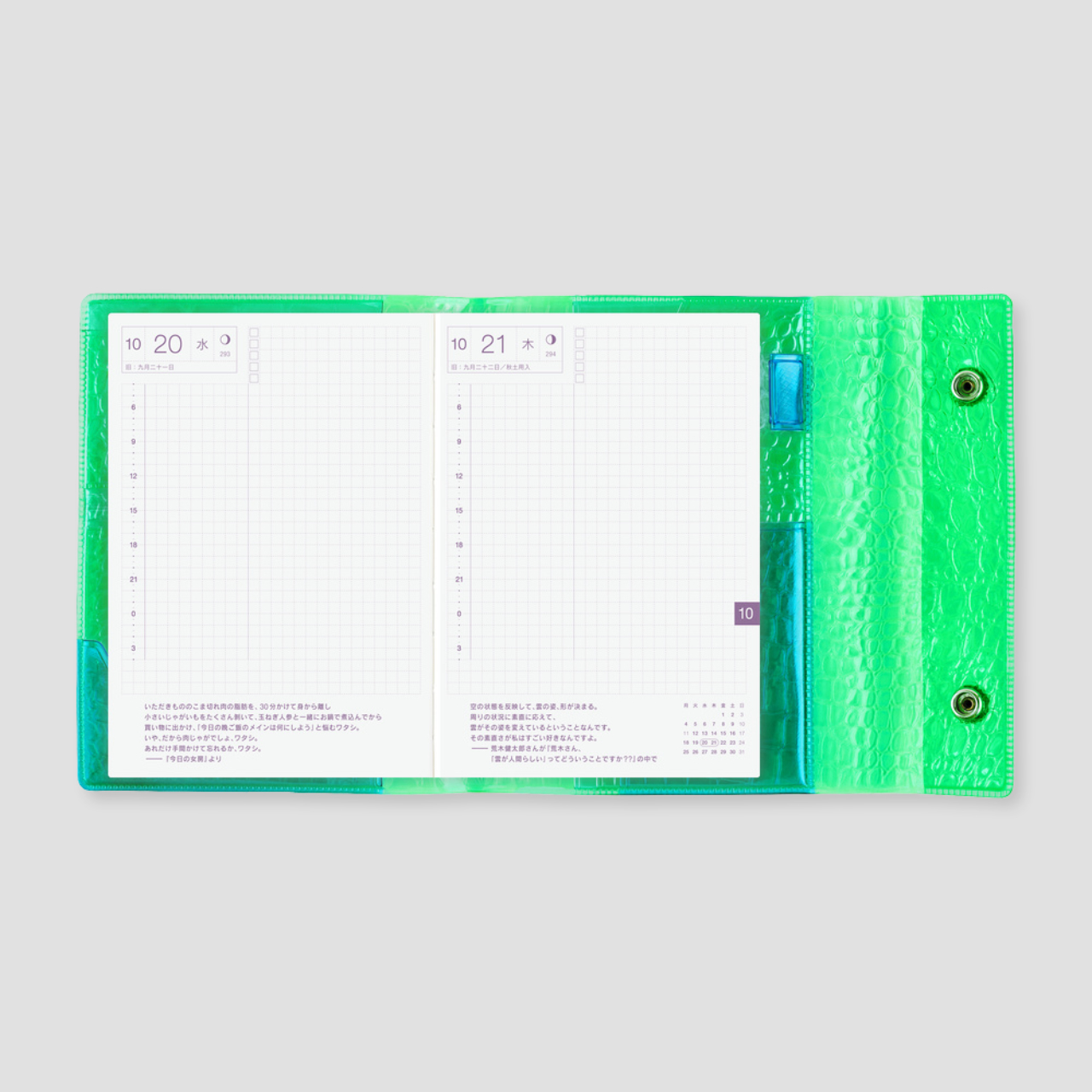 Hobonichi Cover beautiful people: Nothing to Hide - Green (A6)